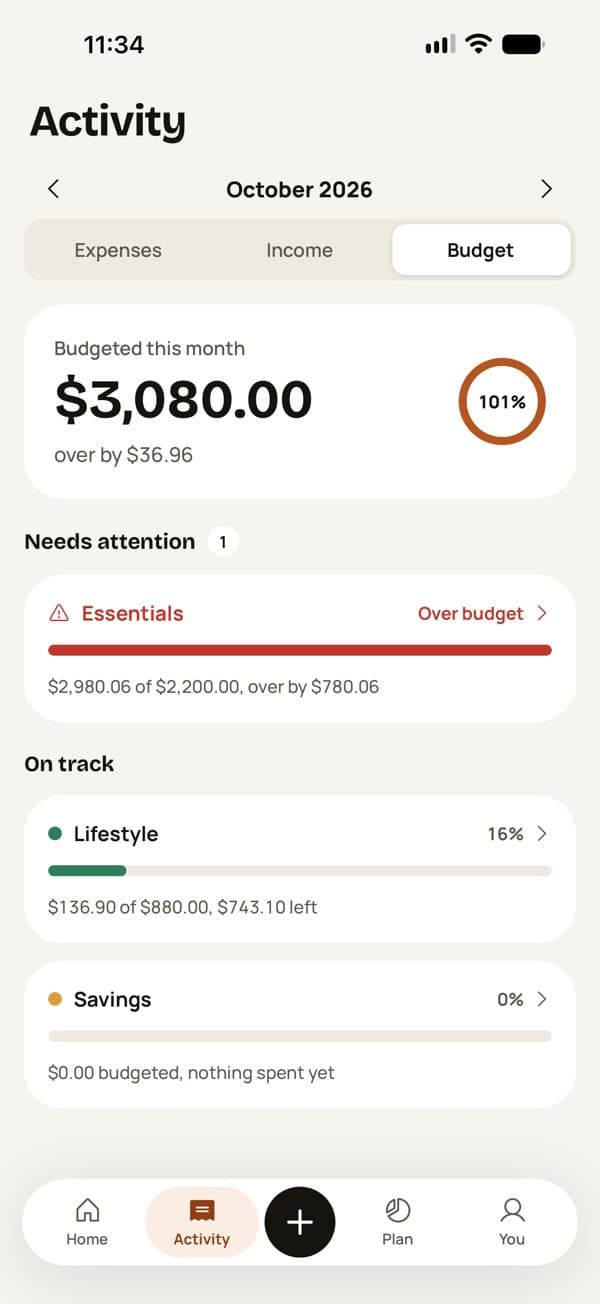 Budget view showing an over-budget category and on-track categories